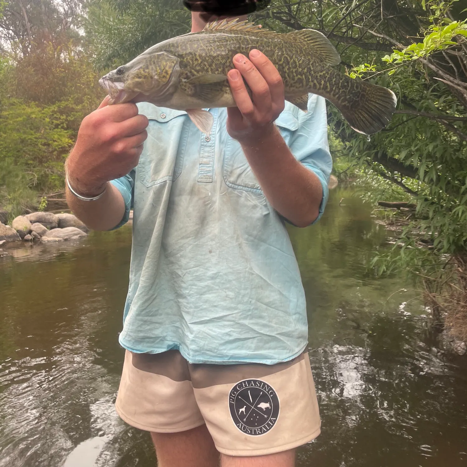 most liked catch image