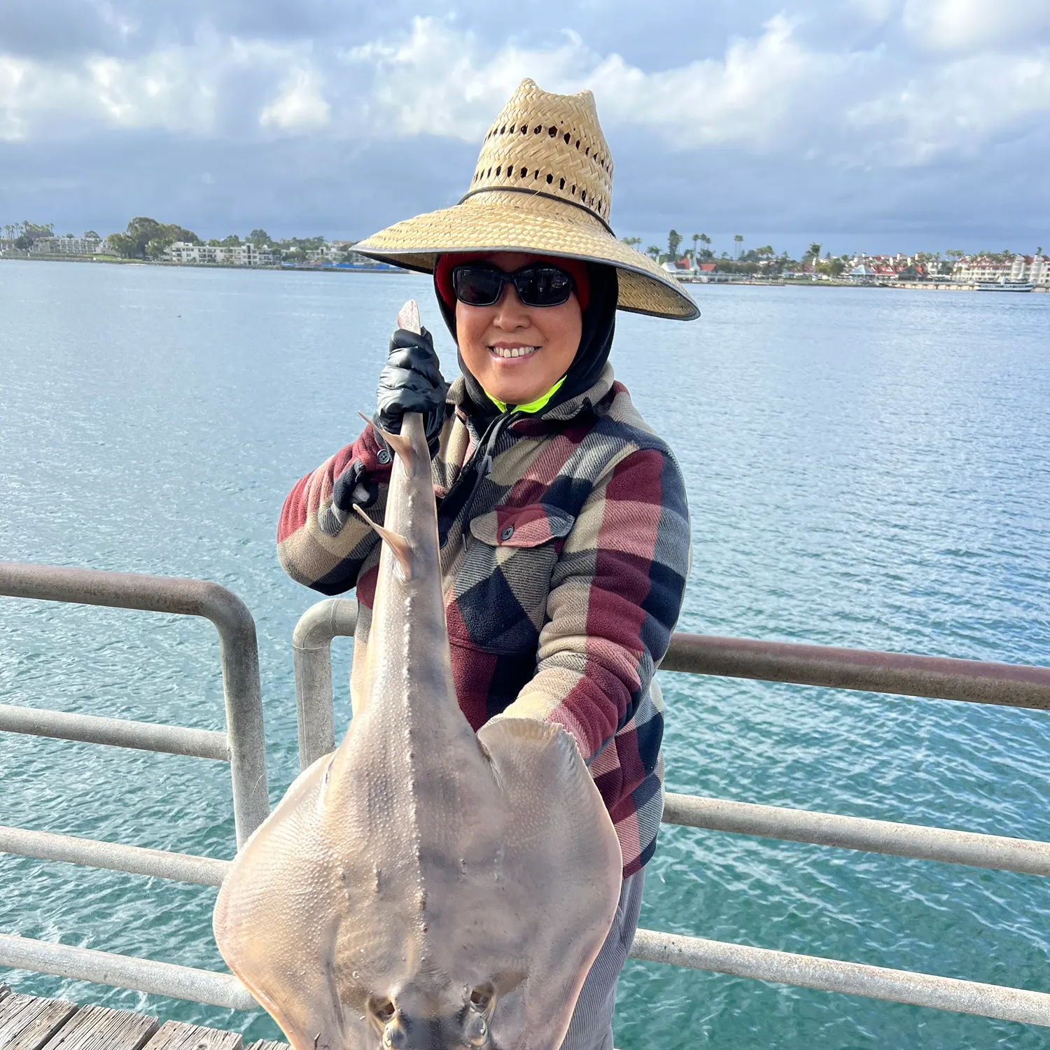 The most recent Banded guitarfish catches on Fishbrain