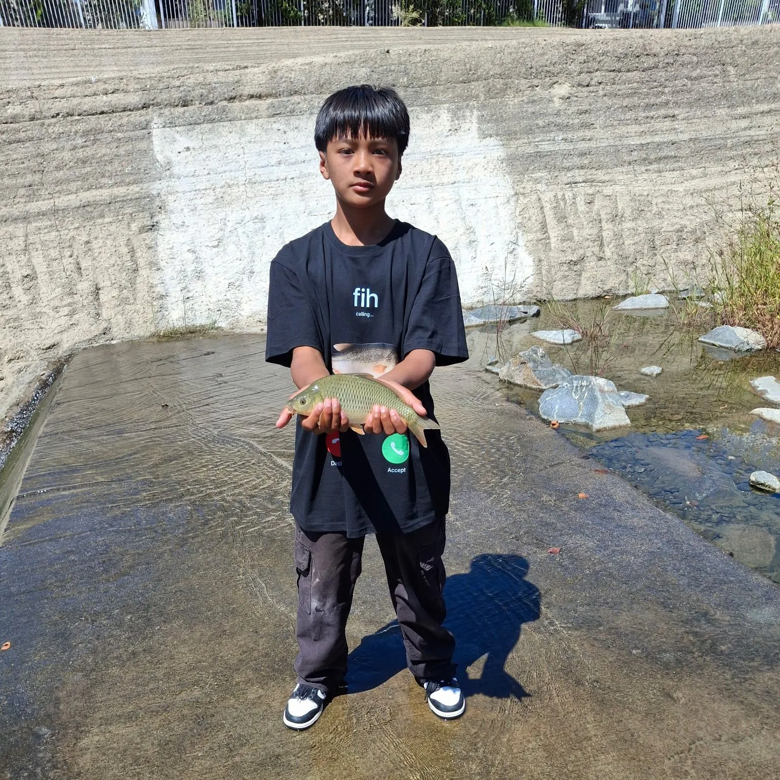 Common carp caught on Fishbrain