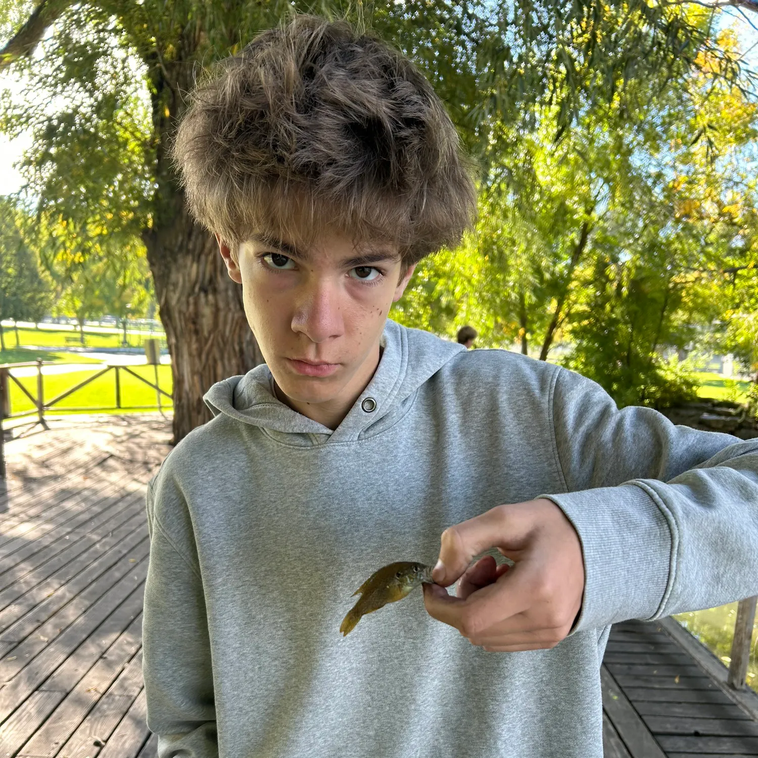 Fish caught on Fishbrain