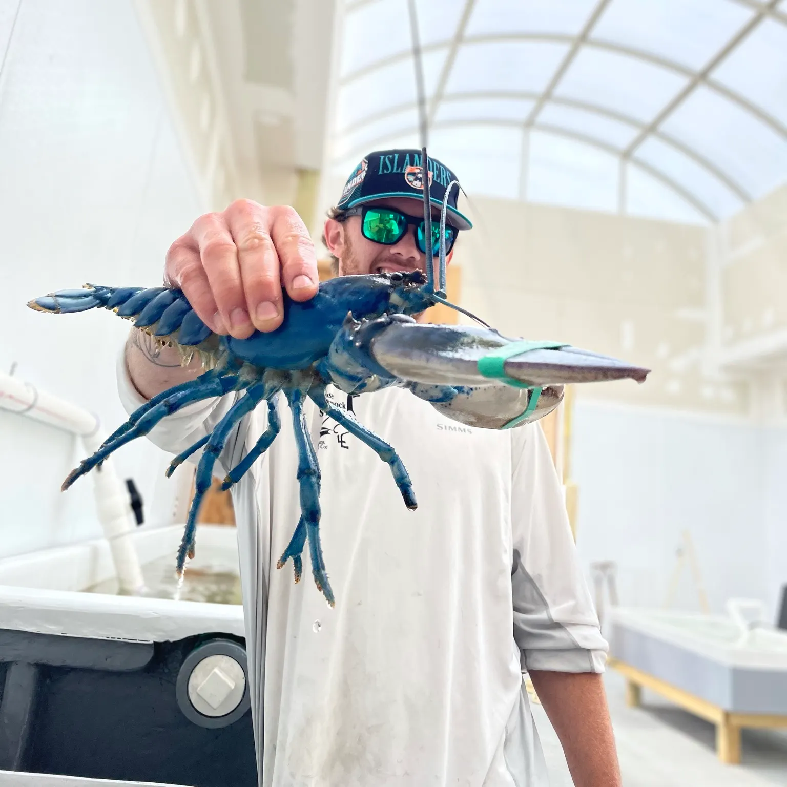 The most recent American lobster catches on Fishbrain