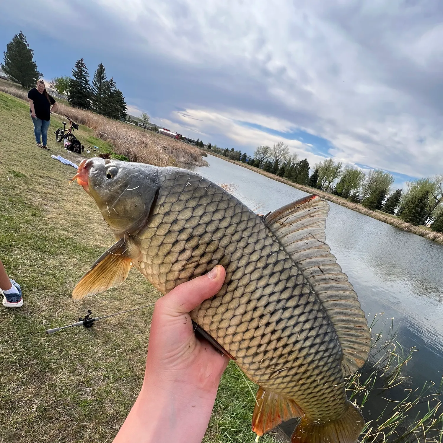catch