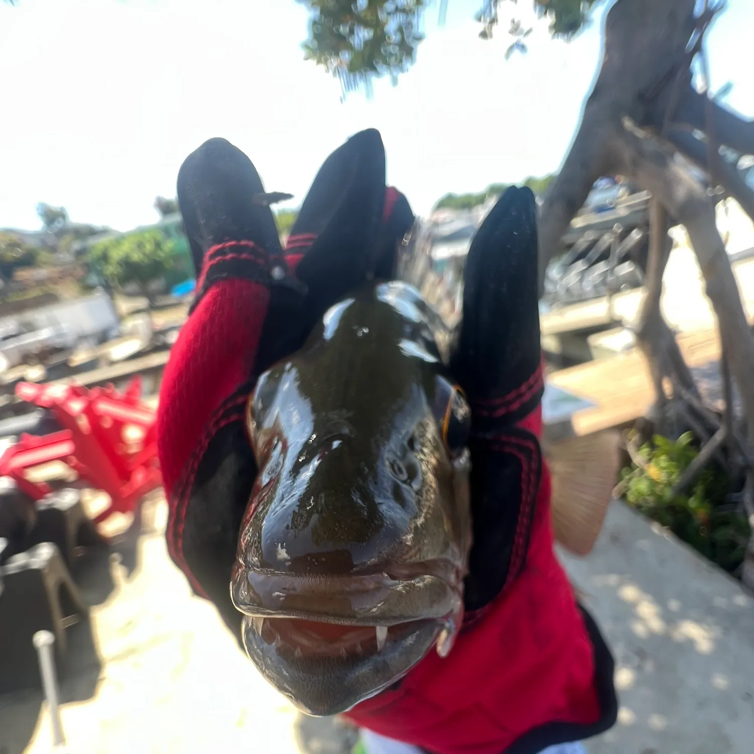 catch