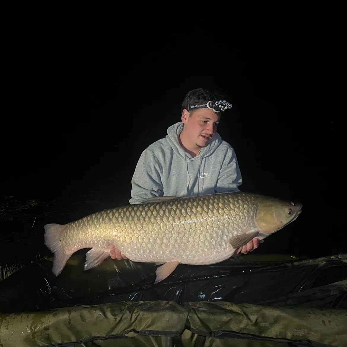 The most recent Grass carp catches on Fishbrain