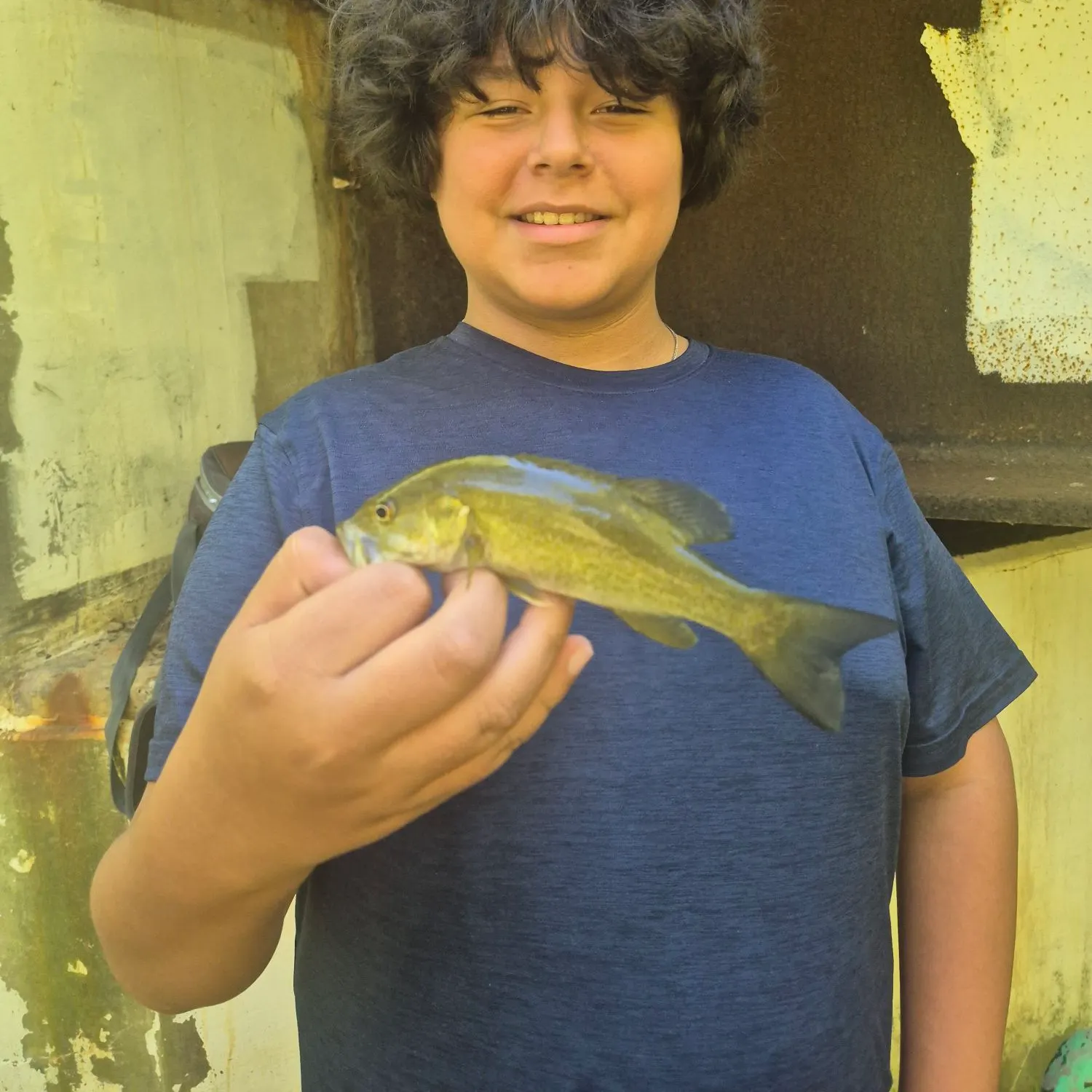 Smallmouth bass caught on Fishbrain
