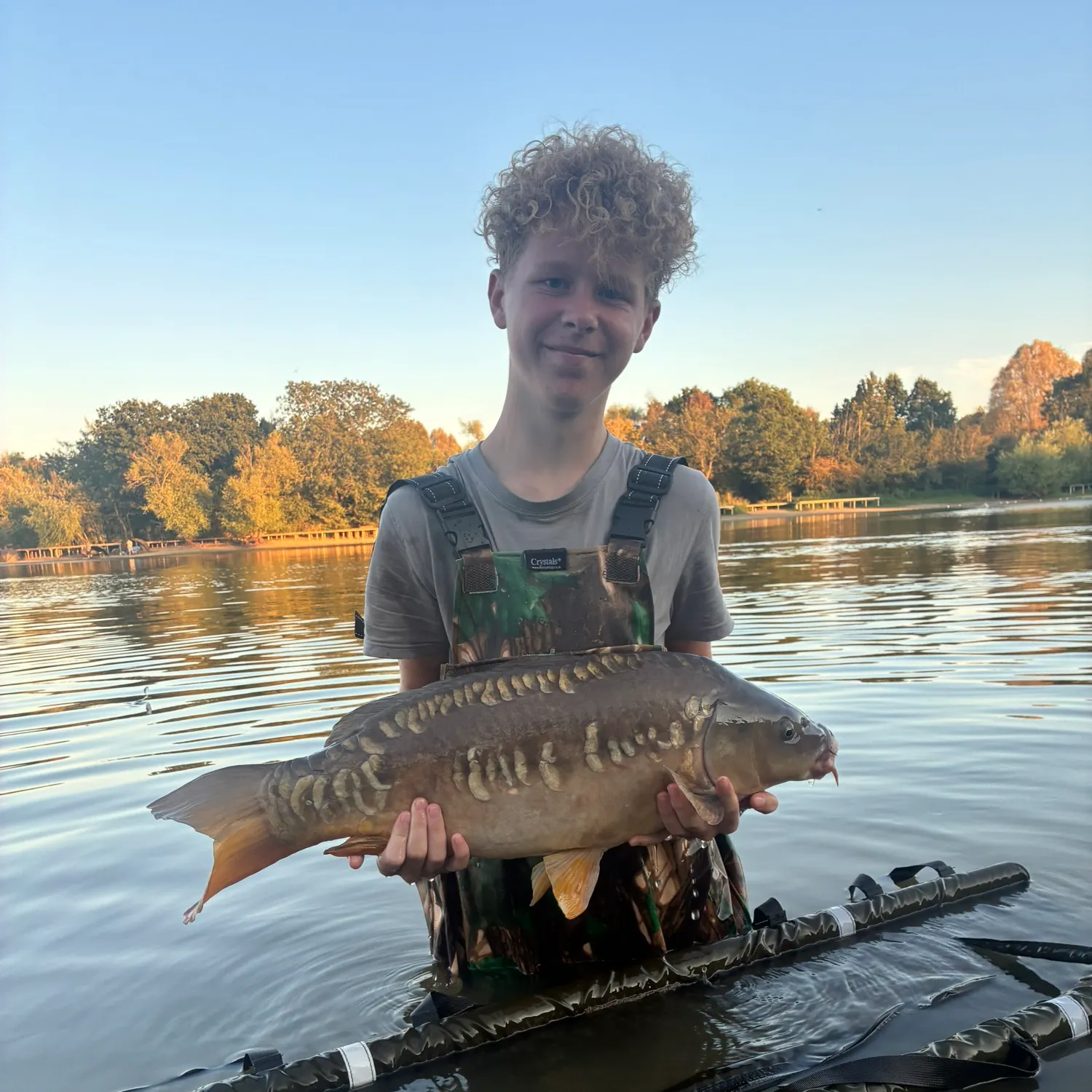 Mirror carp caught on Fishbrain