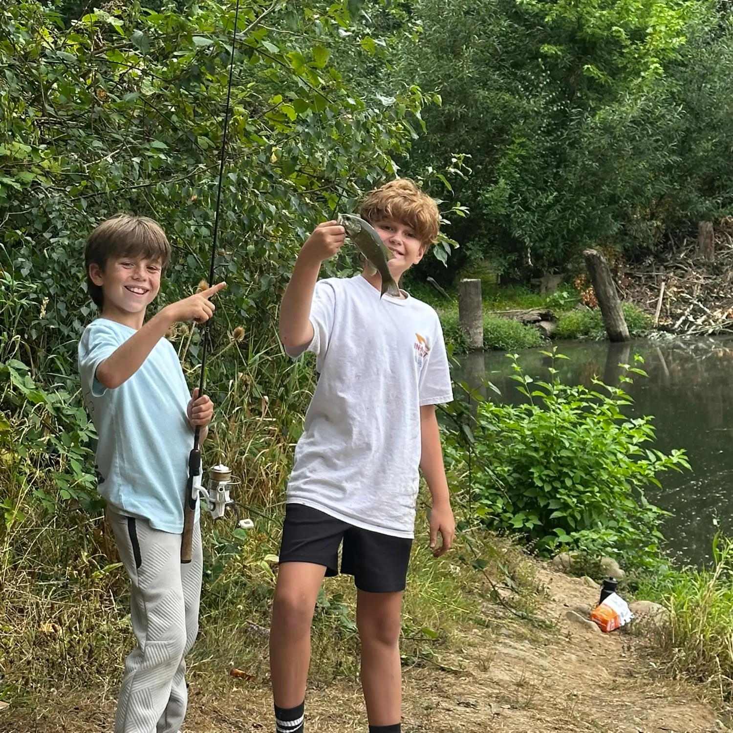 Smallmouth bass caught on Fishbrain