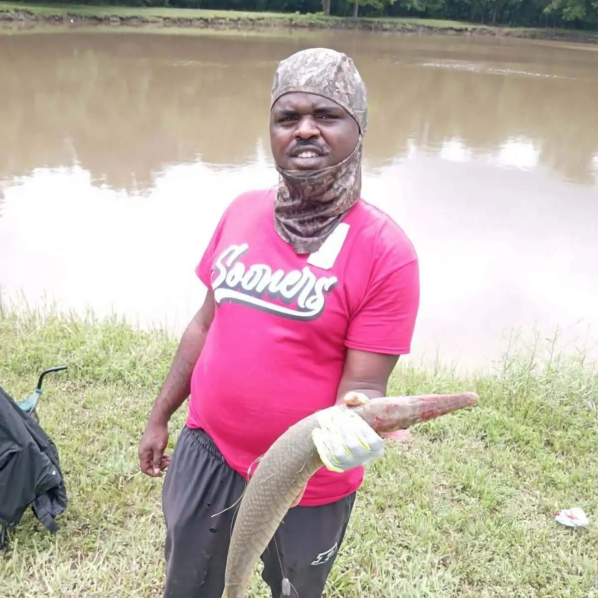 Spotted gar caught on Fishbrain
