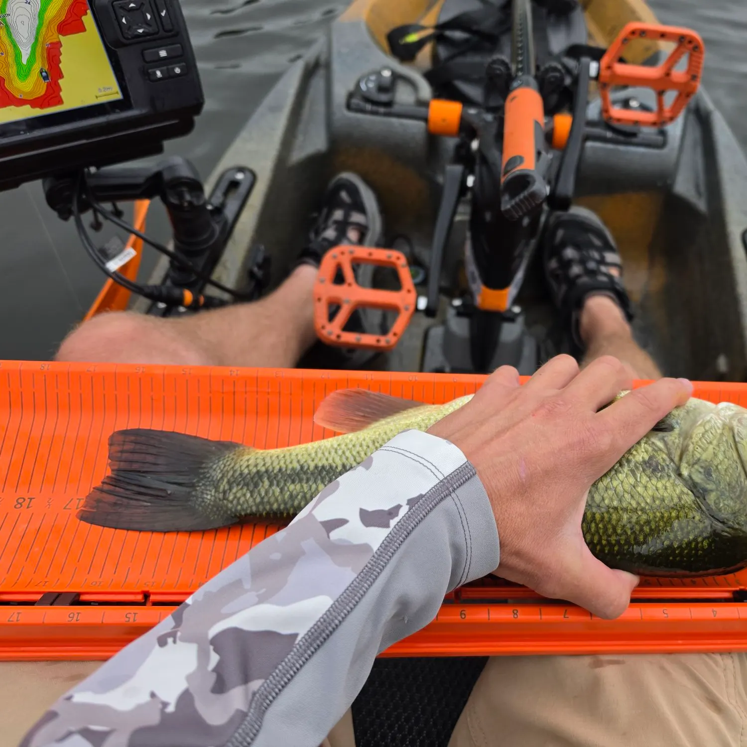 Largemouth bass caught on Fishbrain