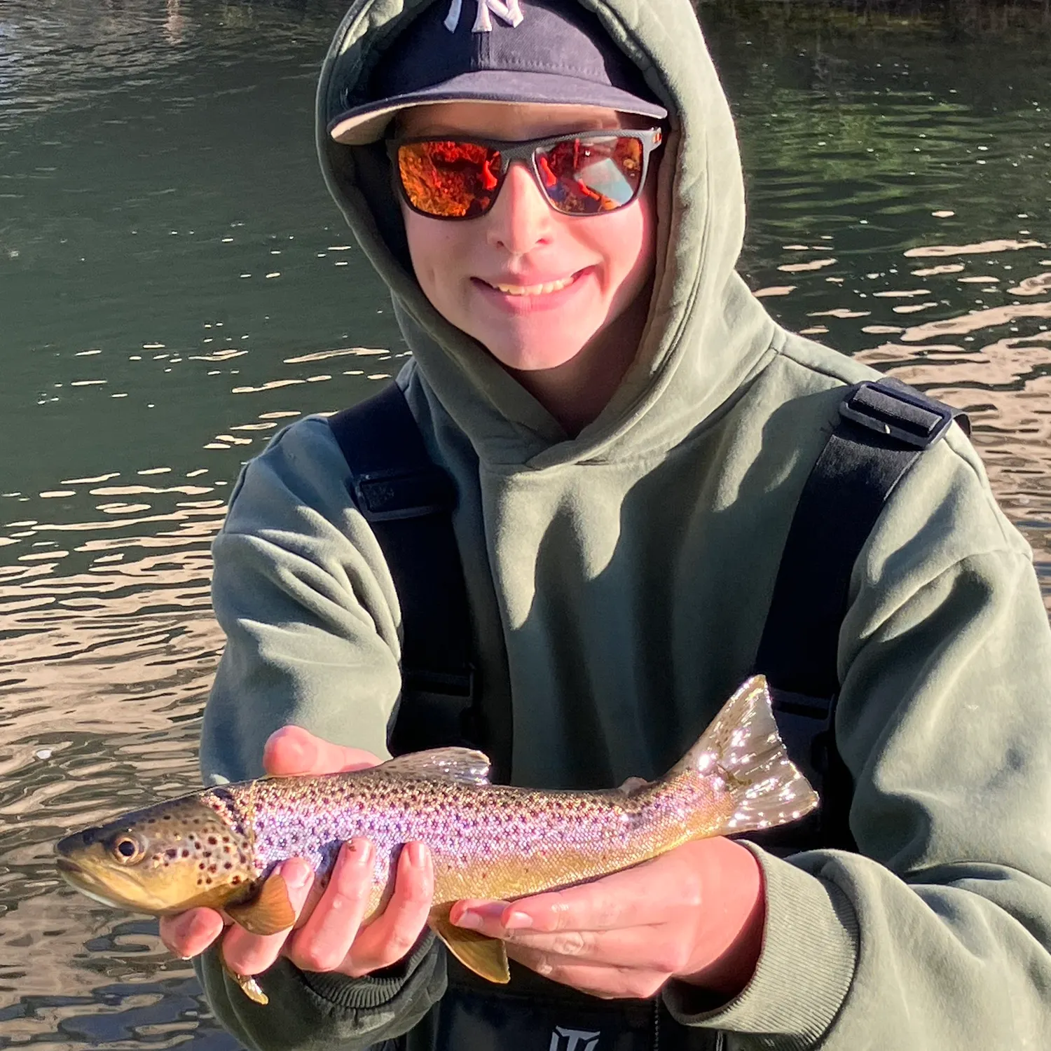 Brown trout caught on Fishbrain