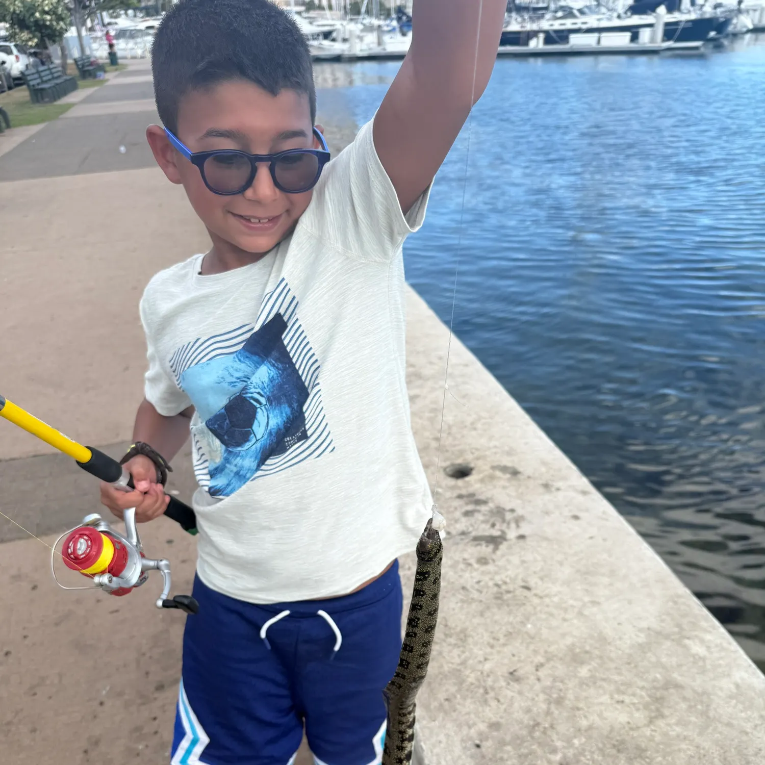 The most recent Undulated moray catches on Fishbrain