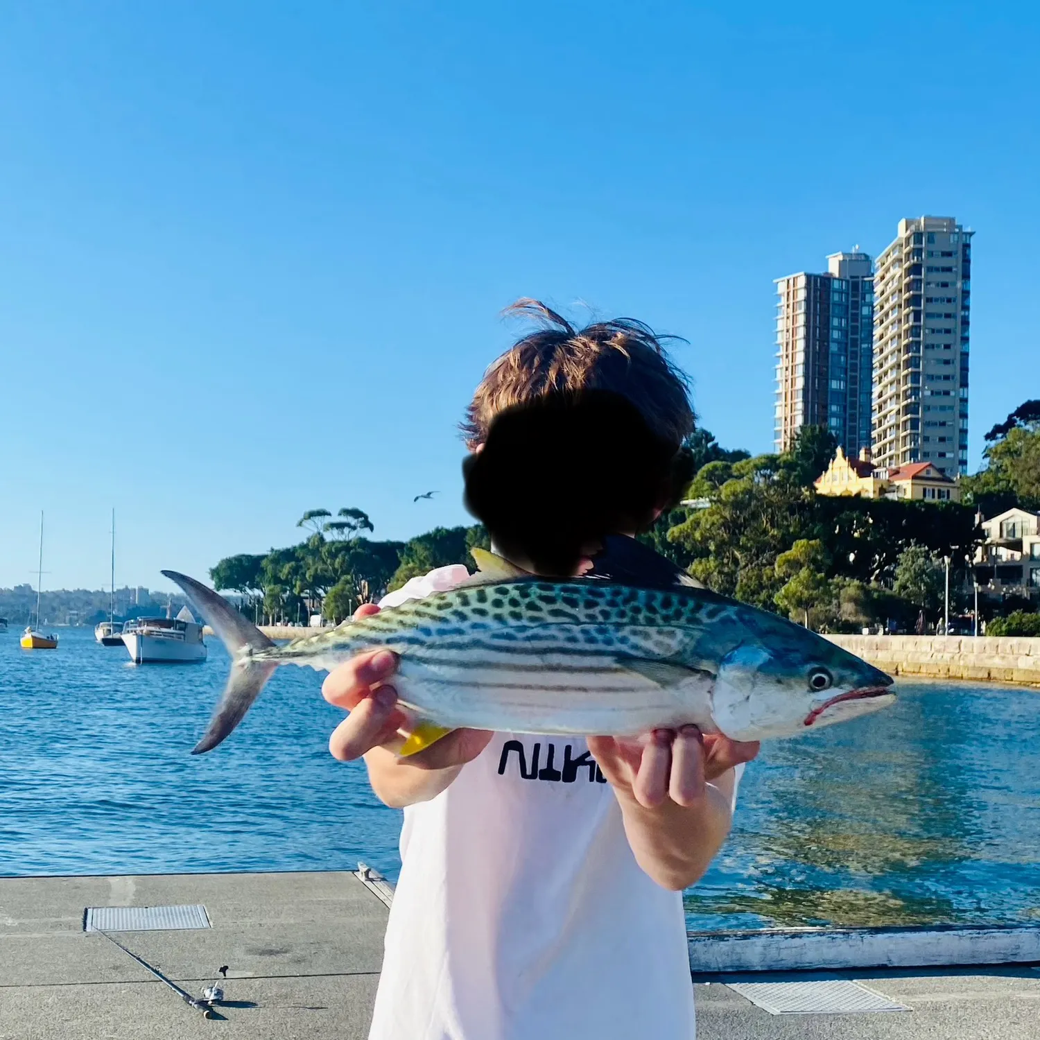 most liked catch image