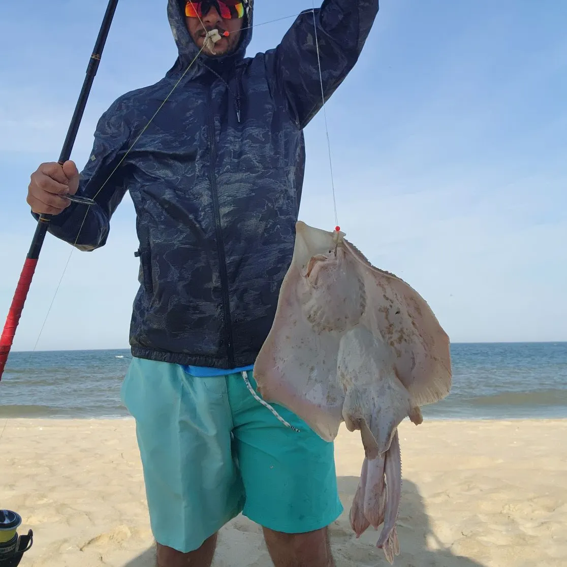 most liked catch image