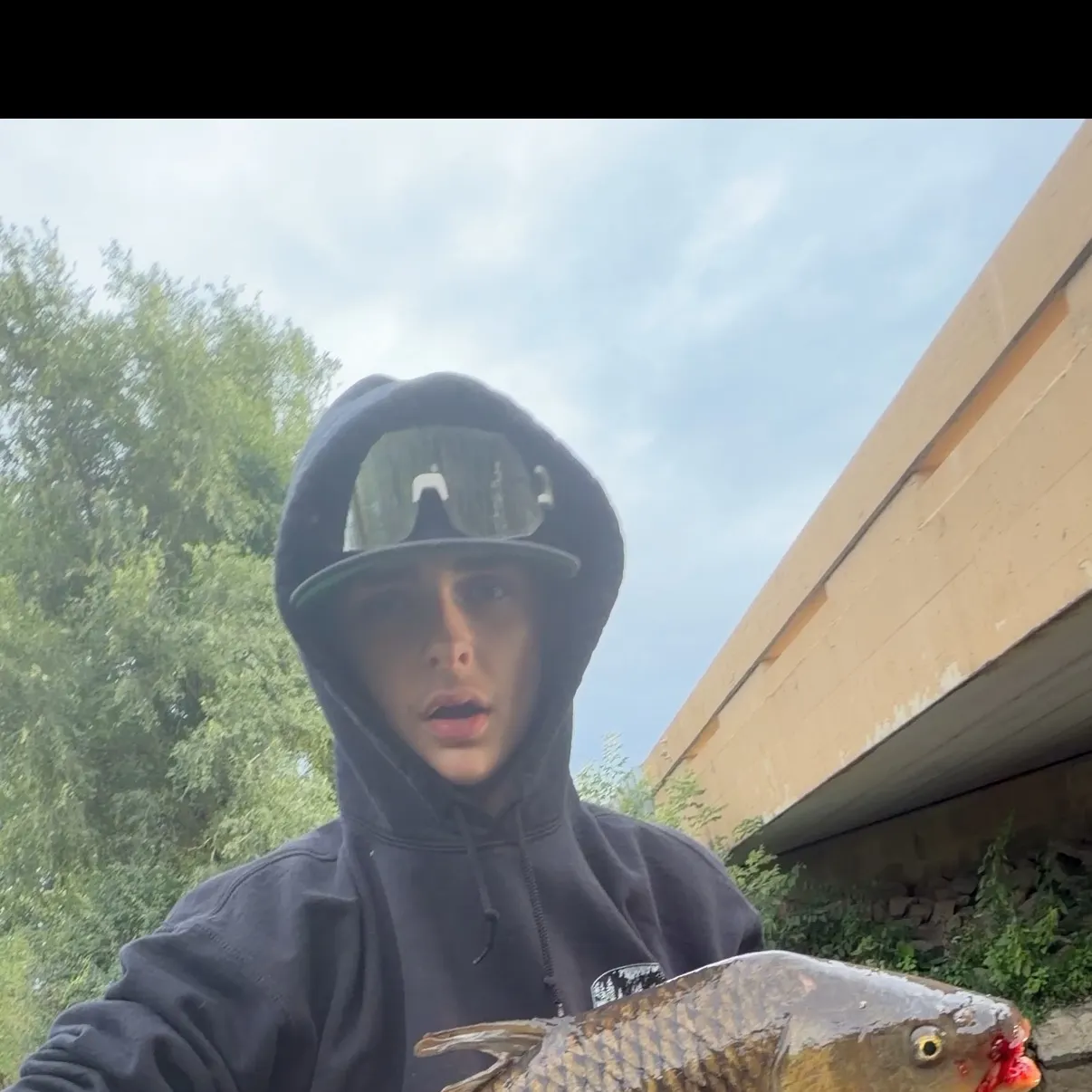 Common carp caught on Fishbrain