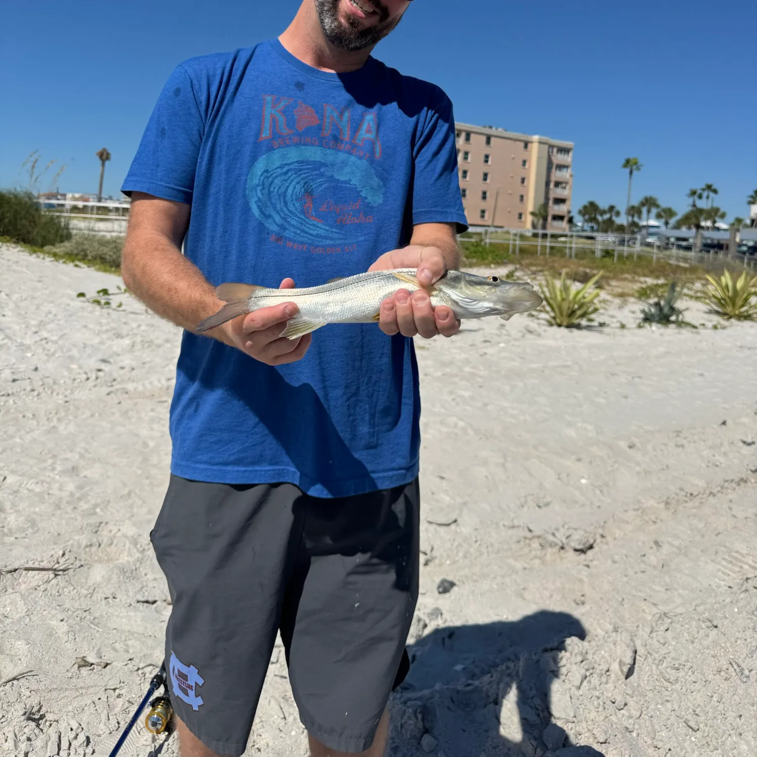 The most recent Ladyfish catches on Fishbrain