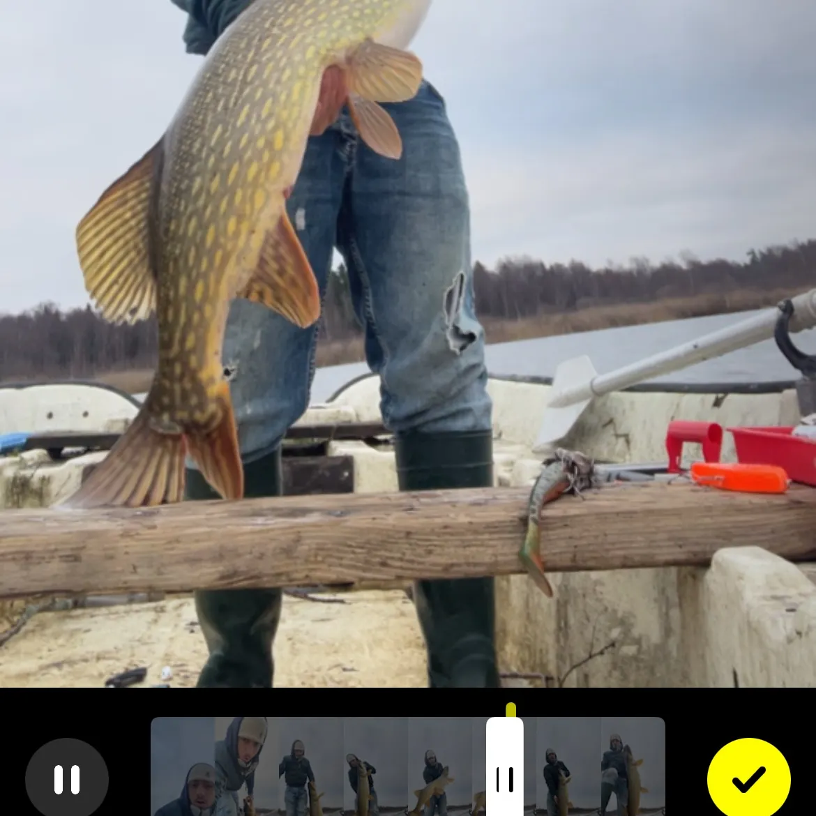 recently logged catches