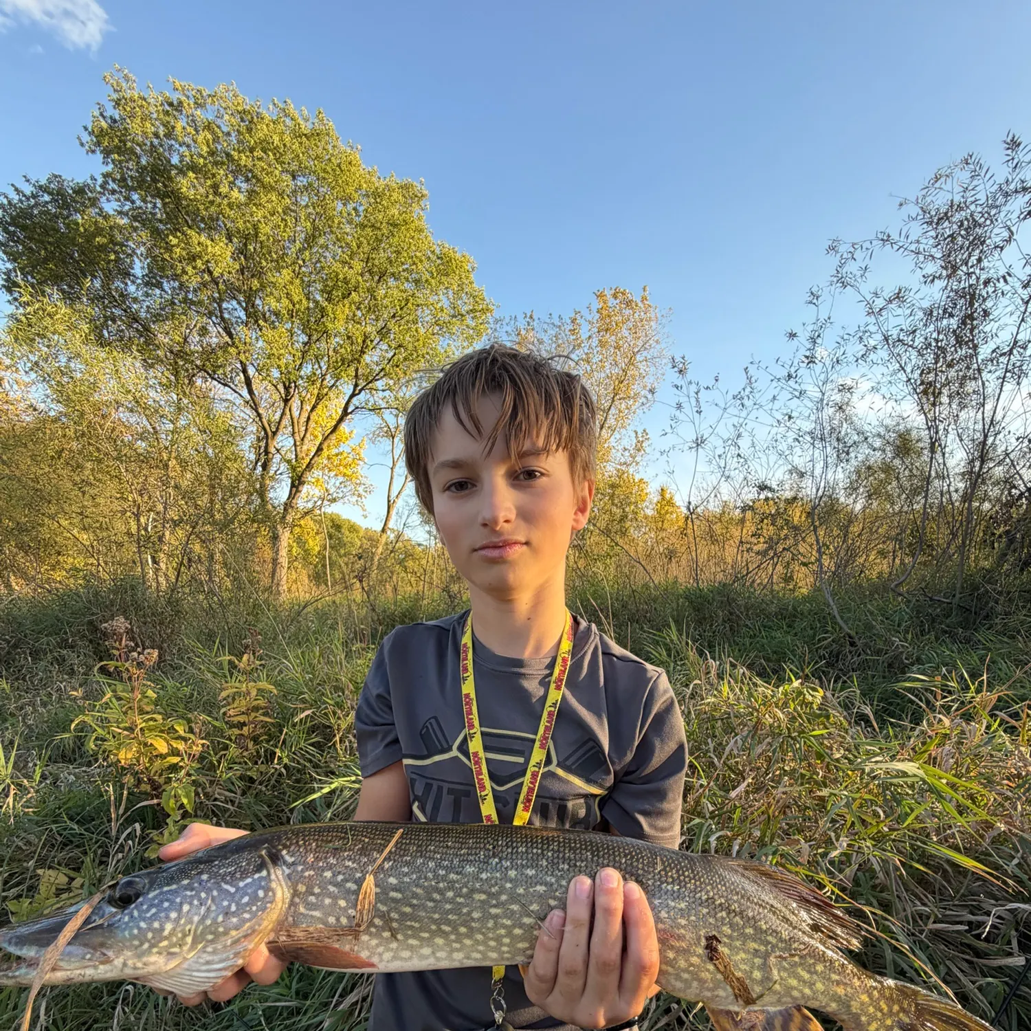 Northern pike caught on Fishbrain