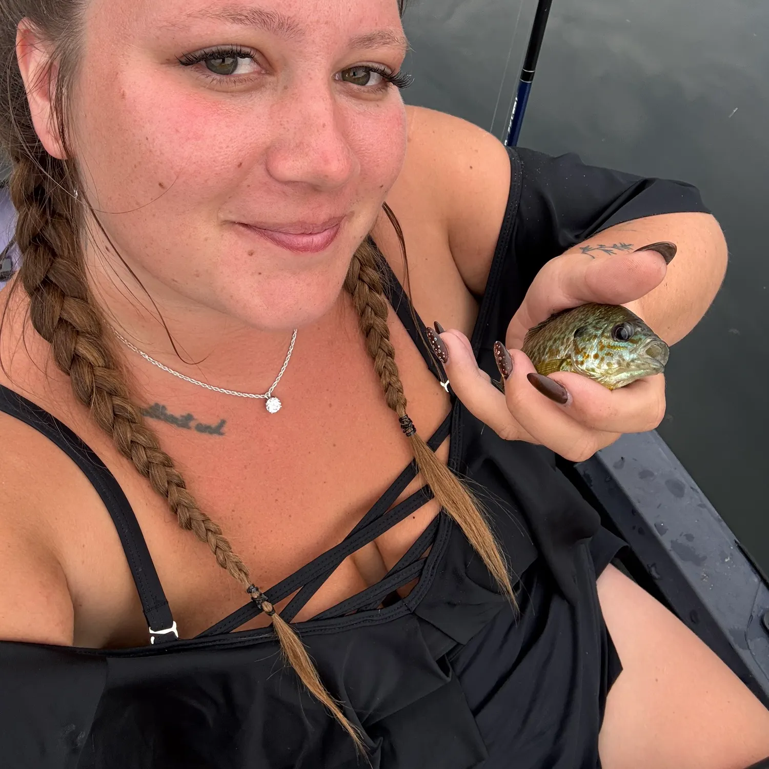Pumpkinseed caught on Fishbrain
