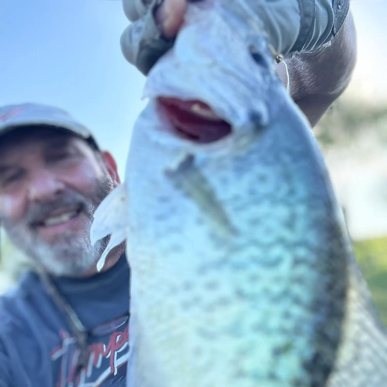 The most recent White crappie catches on Fishbrain