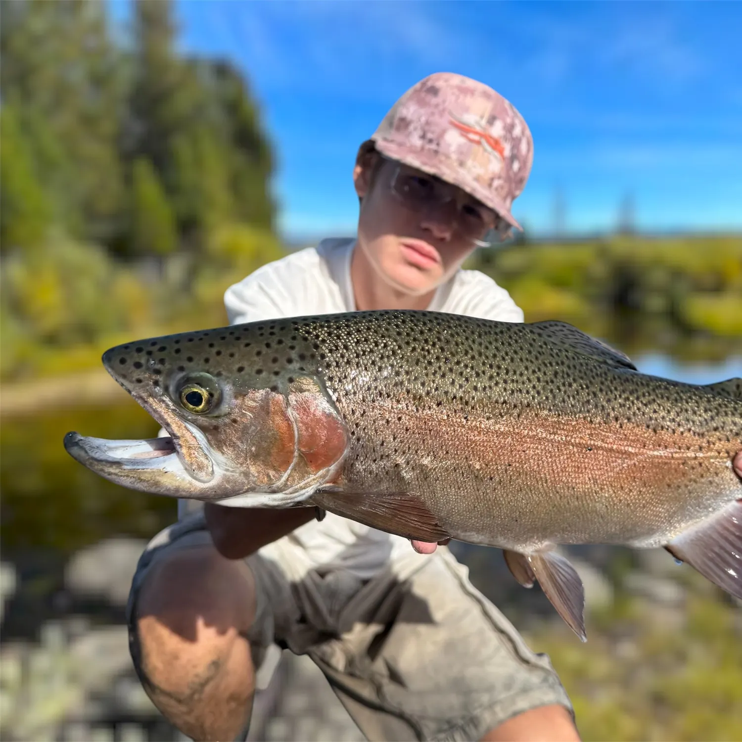 Rainbow trout caught on Fishbrain