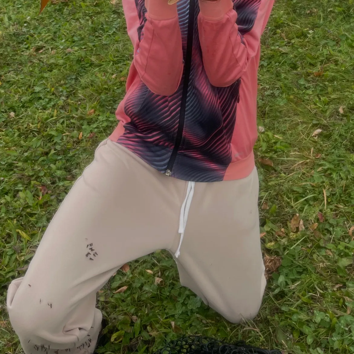 Common carp caught on Fishbrain