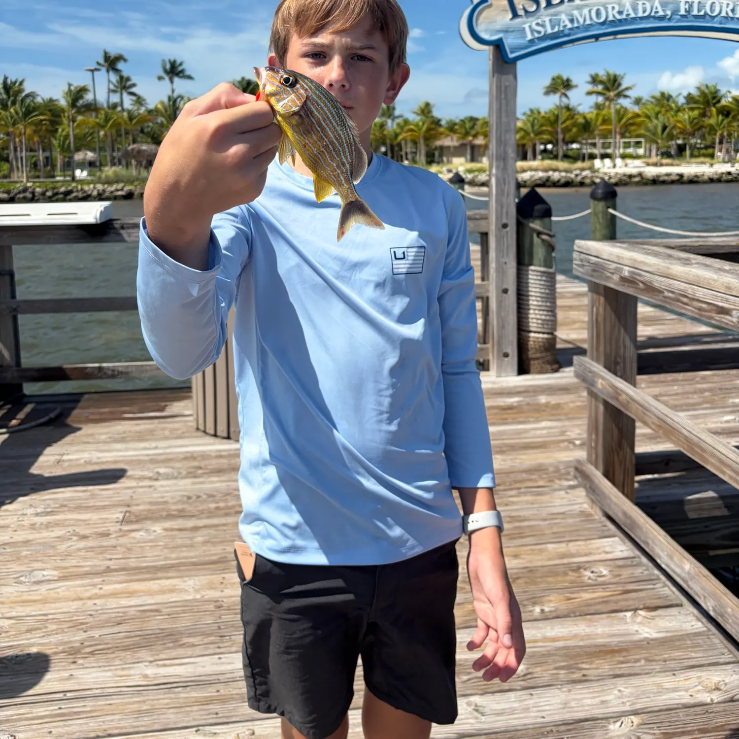 The most recent Bluestriped grunt catches on Fishbrain