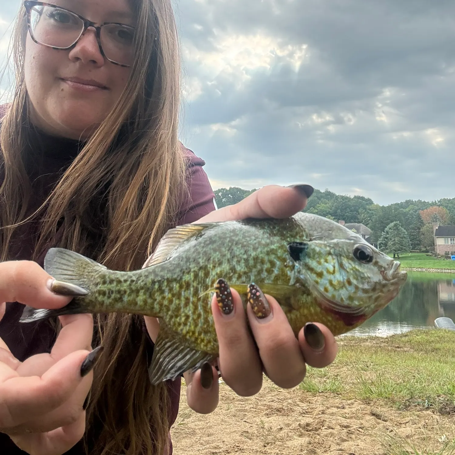 Greengill hybrid caught on Fishbrain