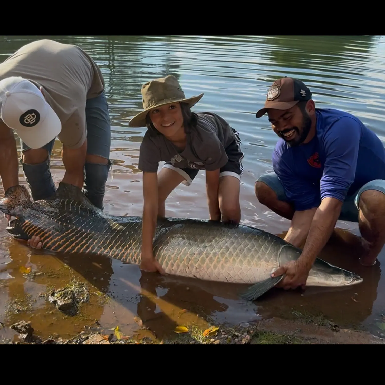 The most recent Arapaima catches on Fishbrain