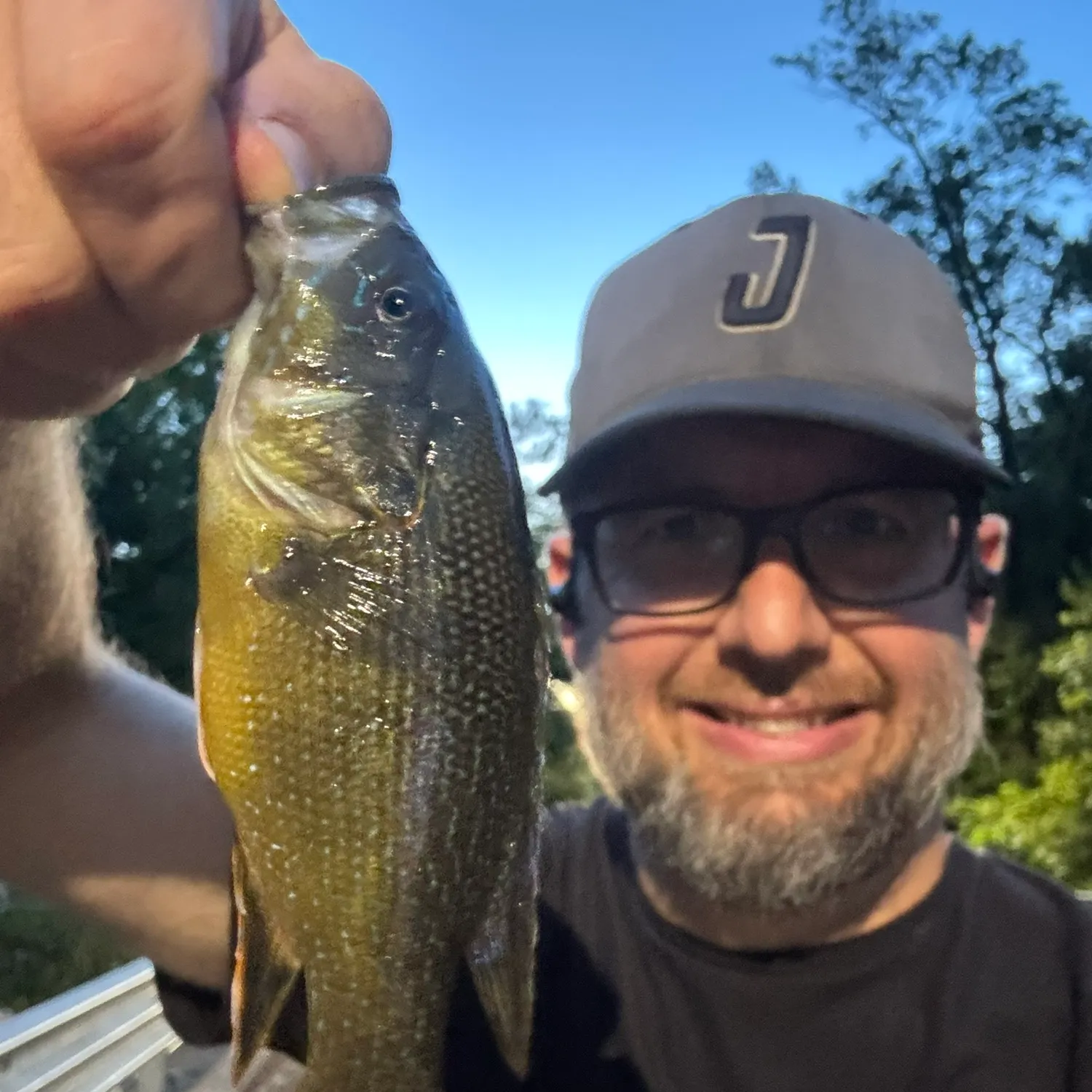 Green sunfish caught on Fishbrain