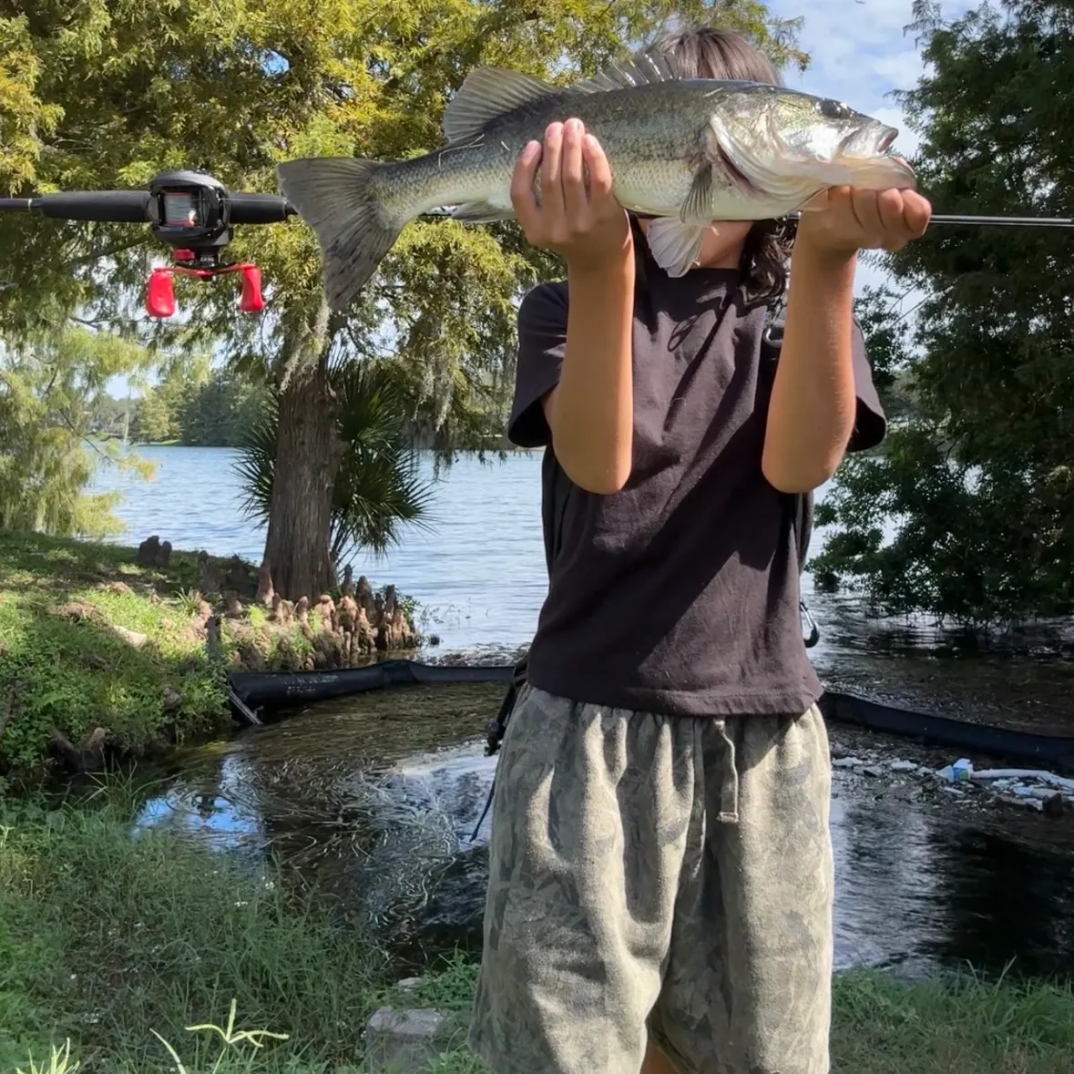 Largemouth bass caught on Fishbrain