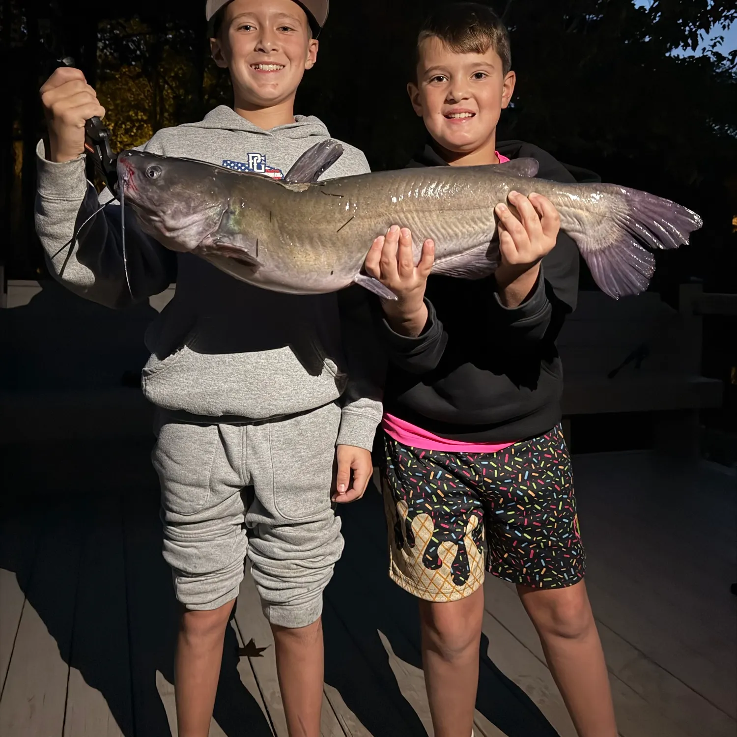 Channel catfish caught on Fishbrain