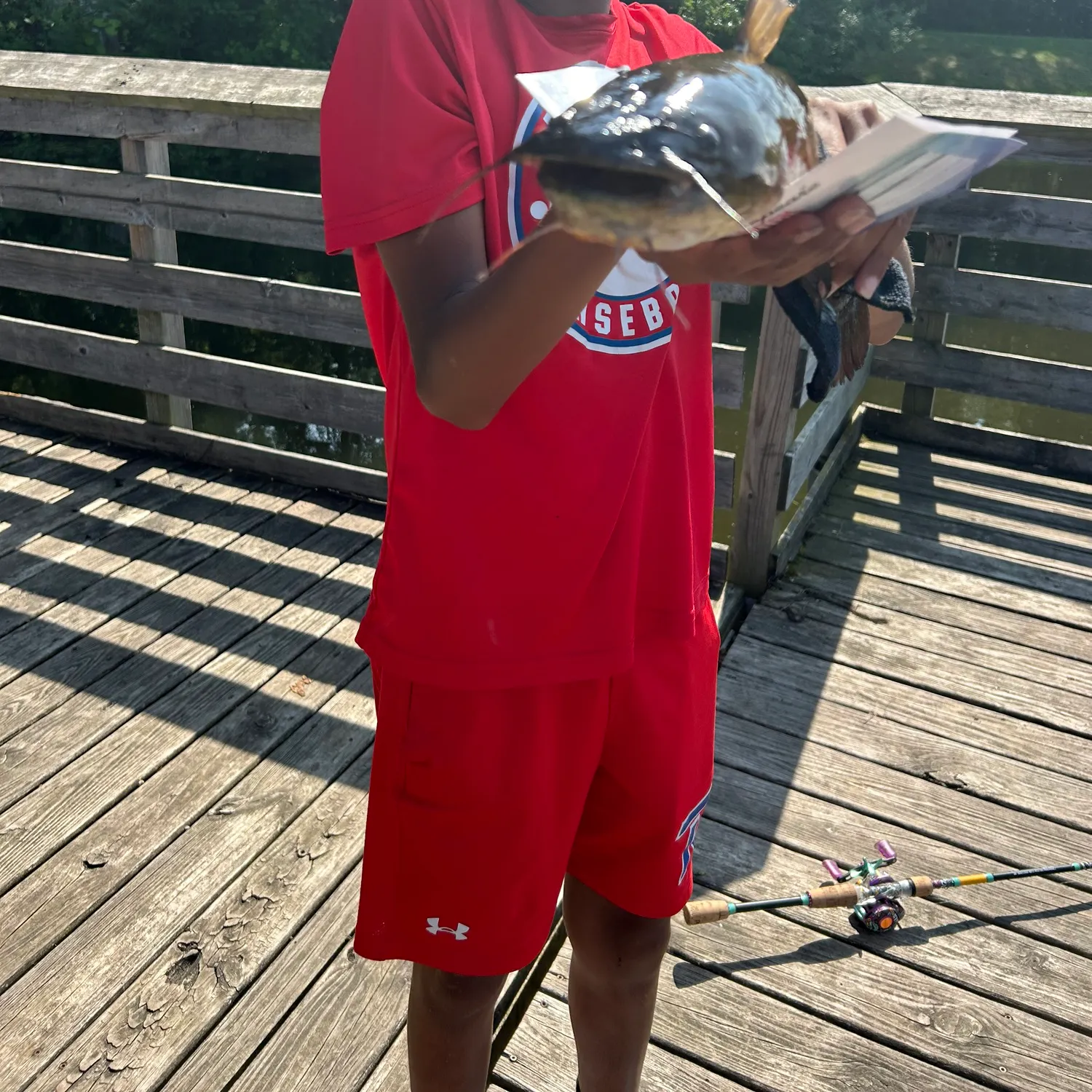 The most recent Brown bullhead catches on Fishbrain