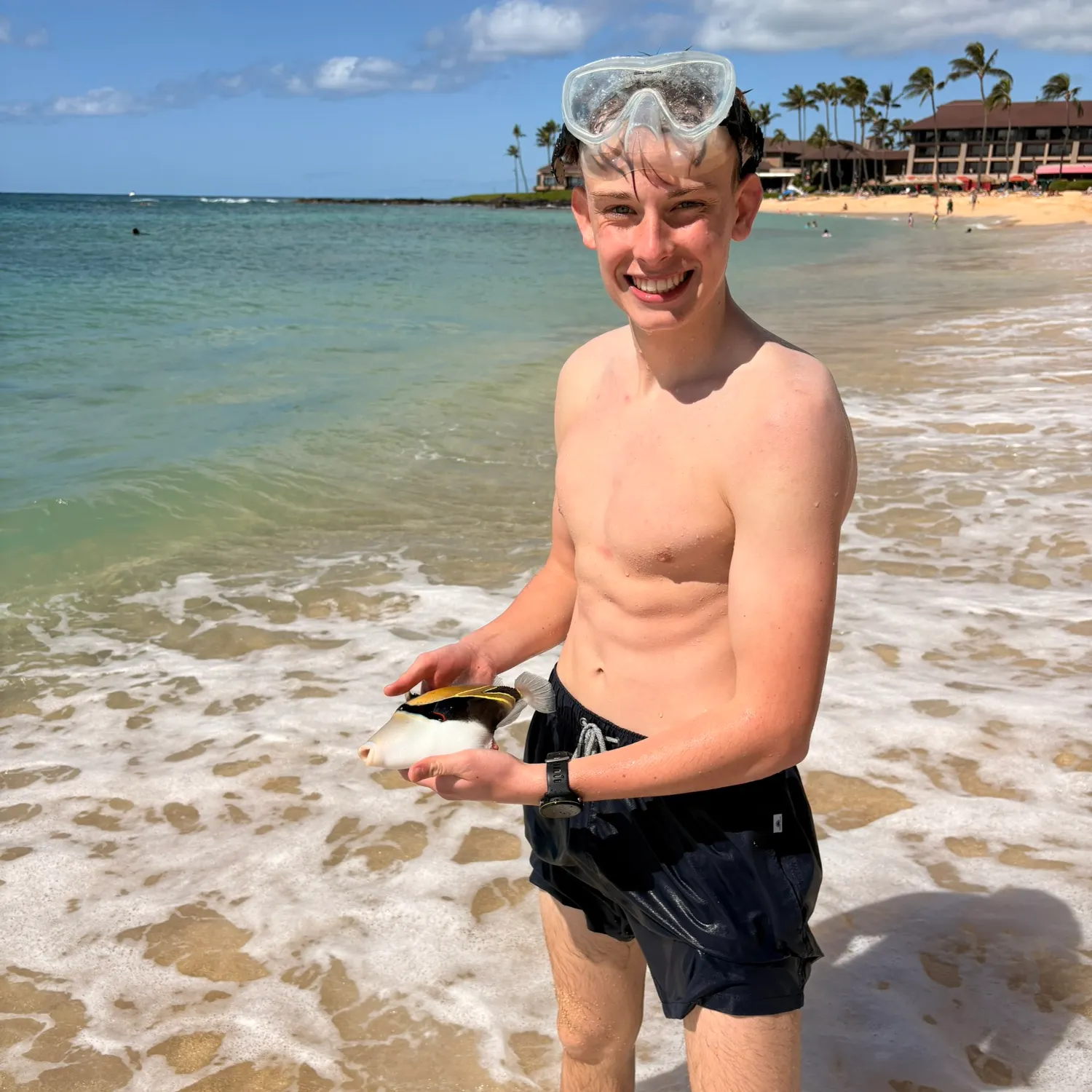 The most recent Wedge-tail triggerfish catches on Fishbrain