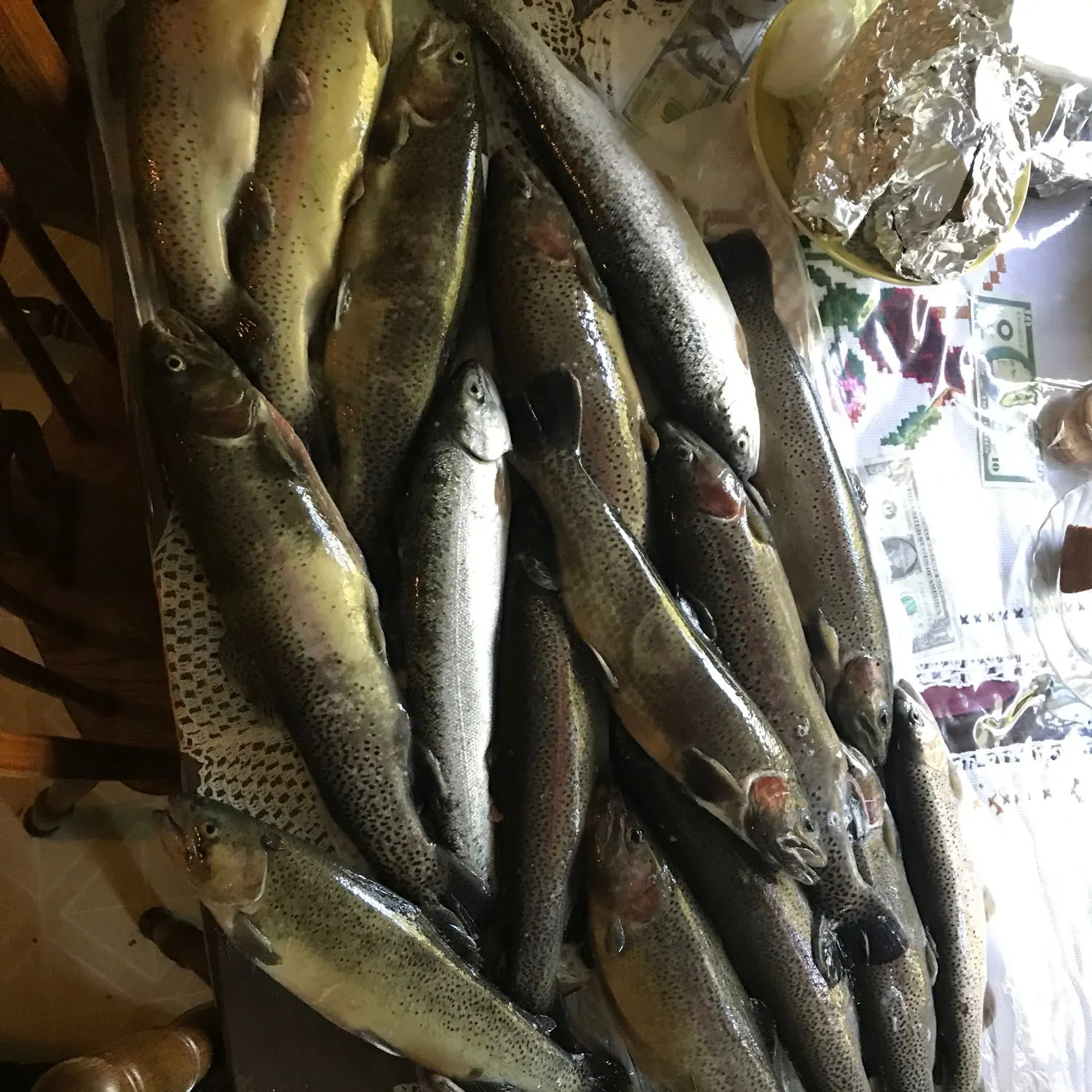 recently logged catches