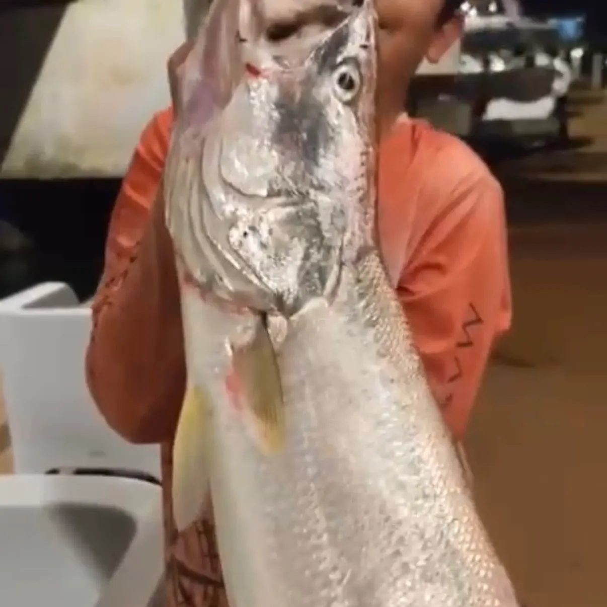 Fish caught on Fishbrain
