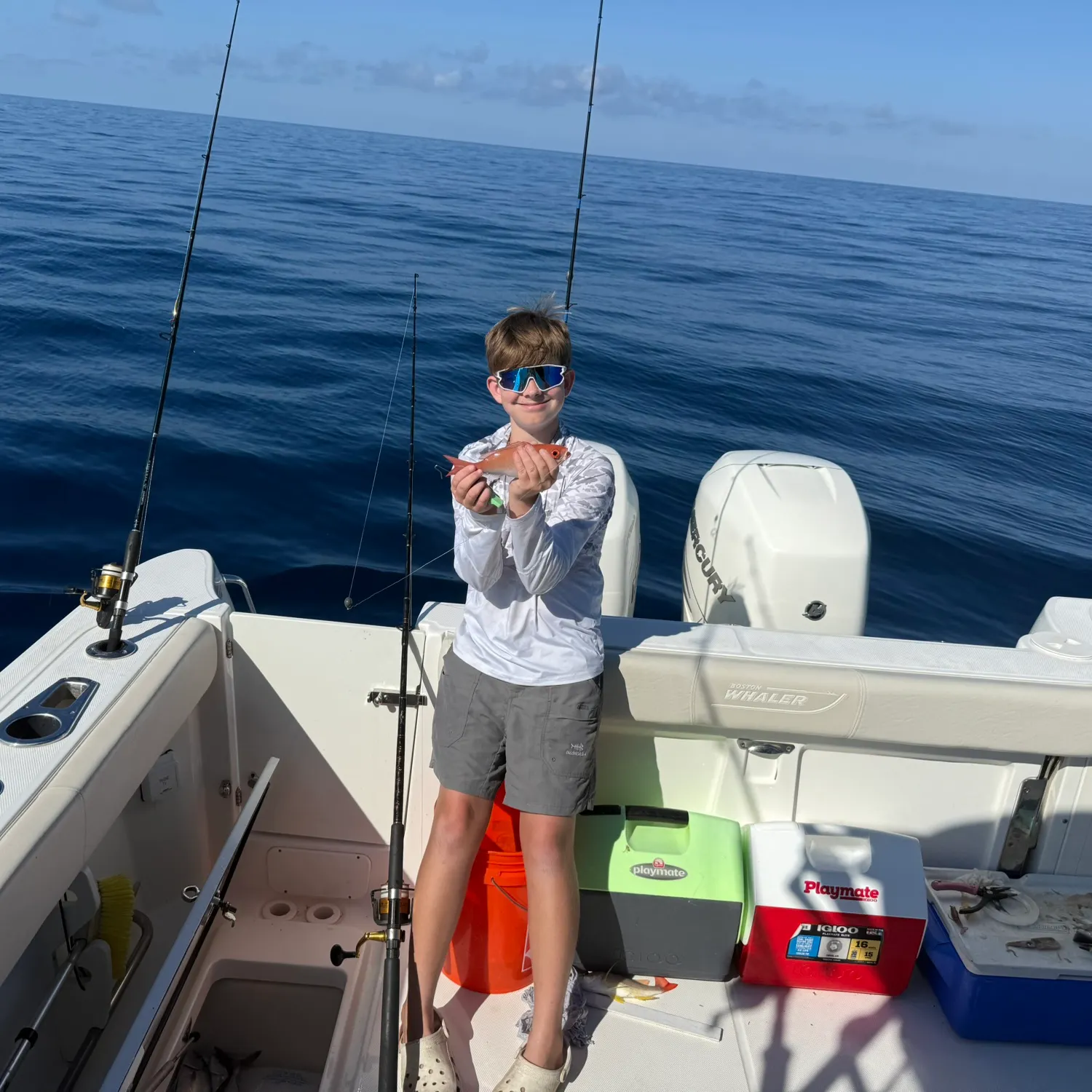 The most recent Vermilion snapper catches on Fishbrain