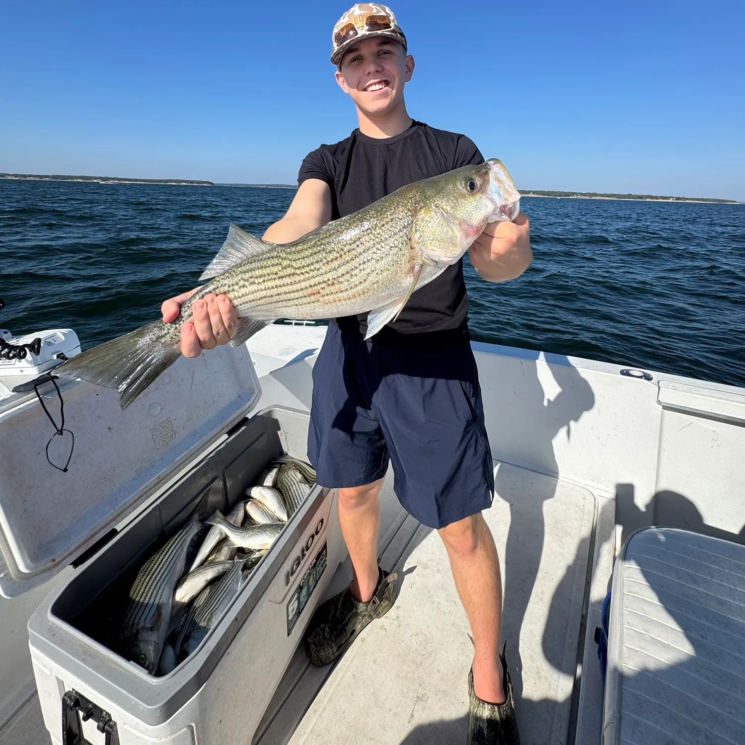 Striped bass caught on Fishbrain
