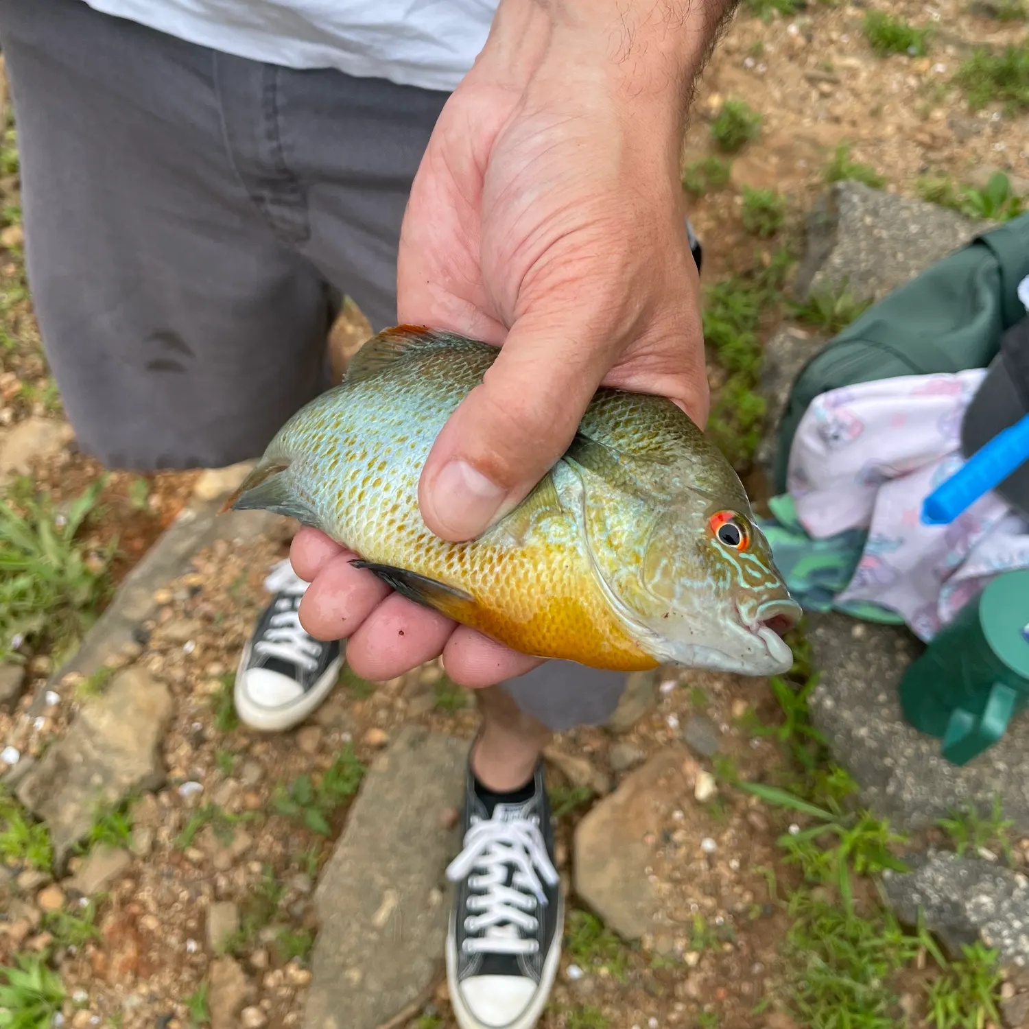 catch