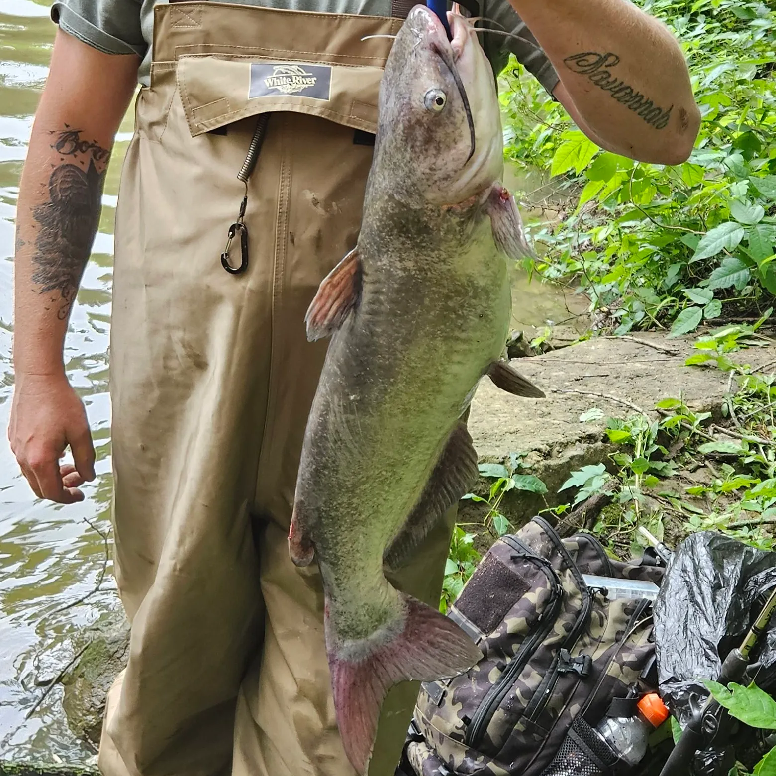 recently logged catches