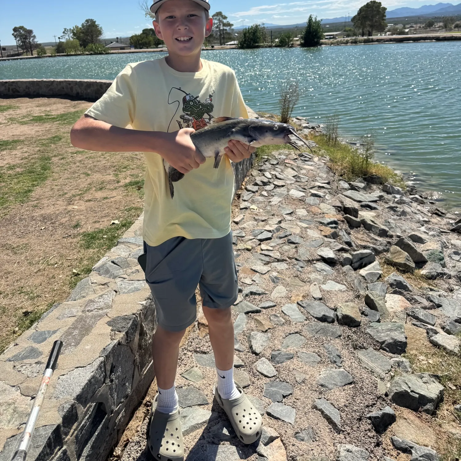 Channel catfish caught on Fishbrain