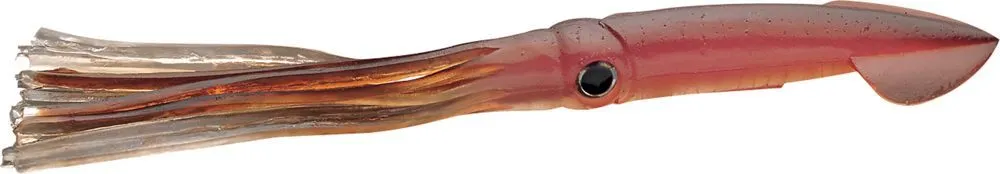 Squids