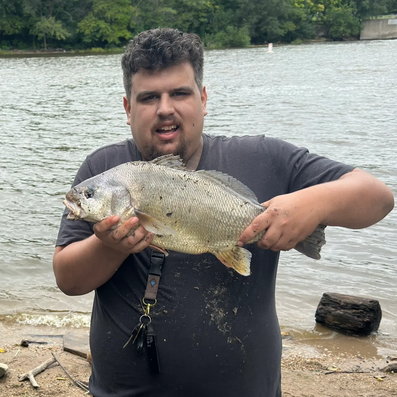 Freshwater drum caught on Fishbrain
