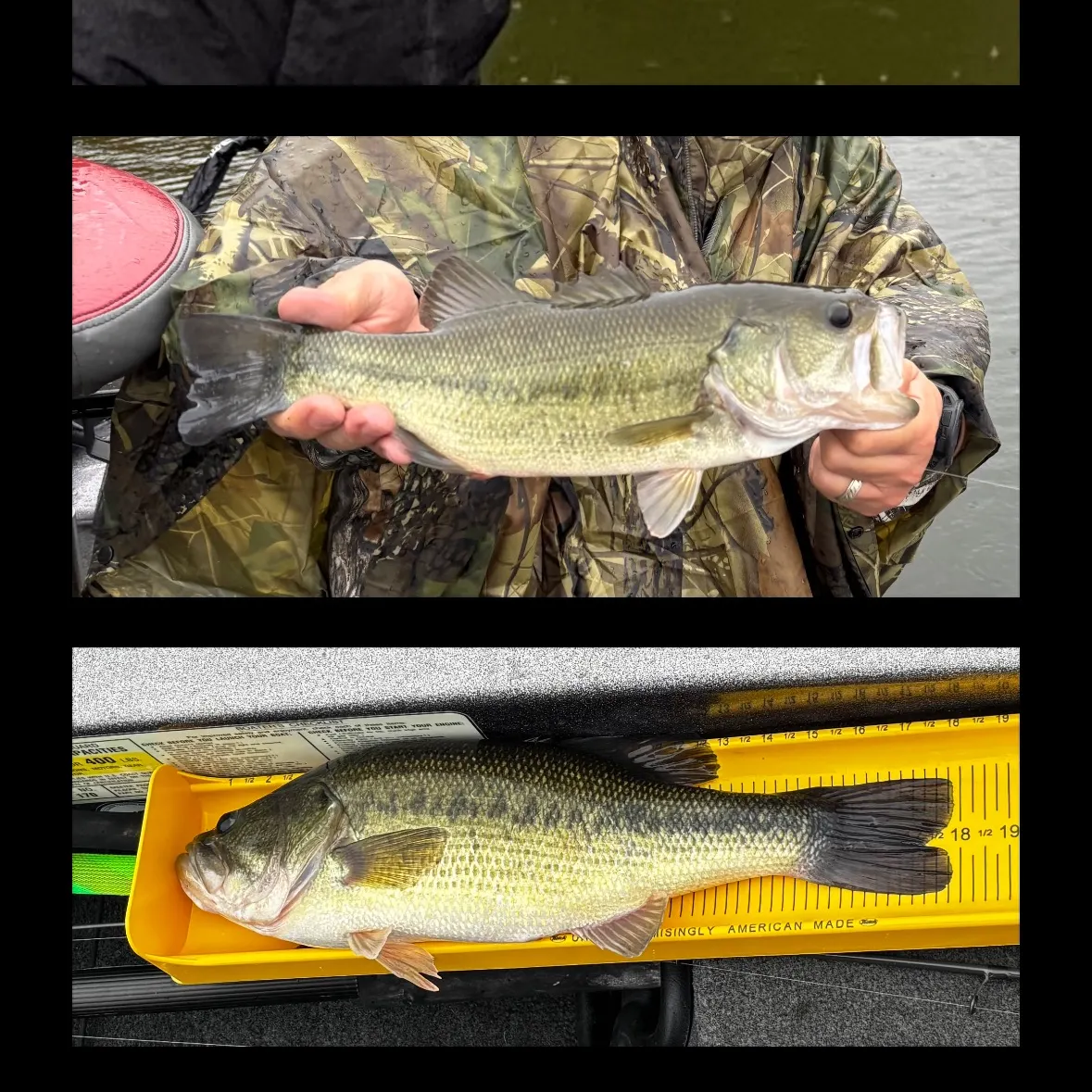 recently logged catches