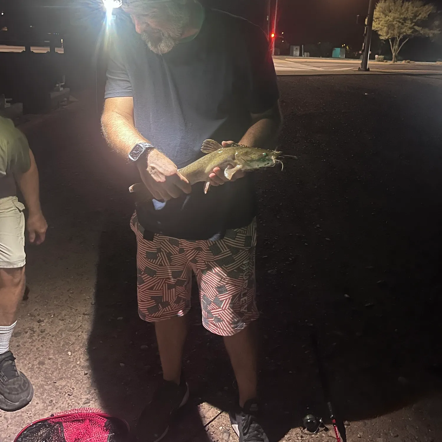 Flathead catfish caught on Fishbrain
