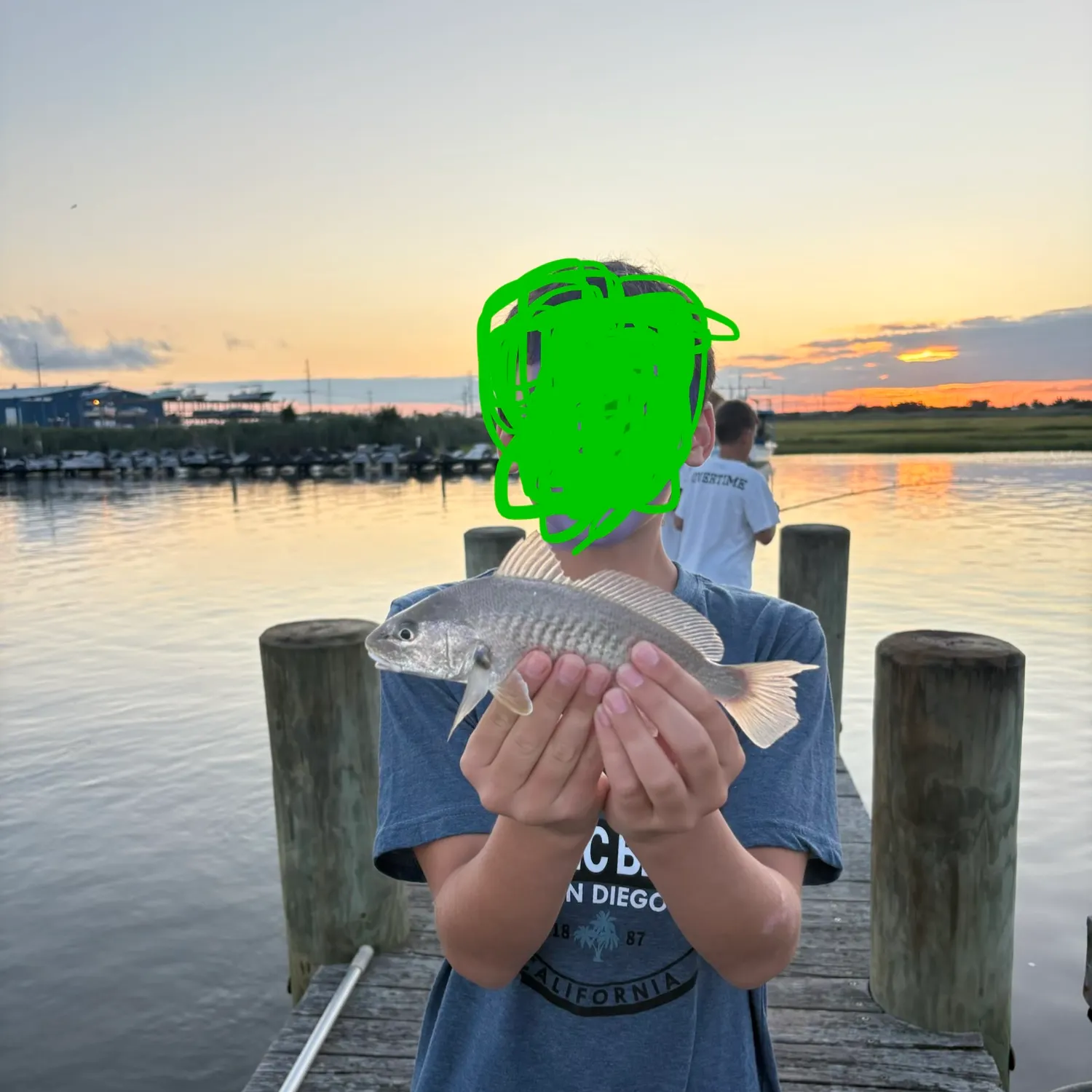 Atlantic croaker caught on Fishbrain