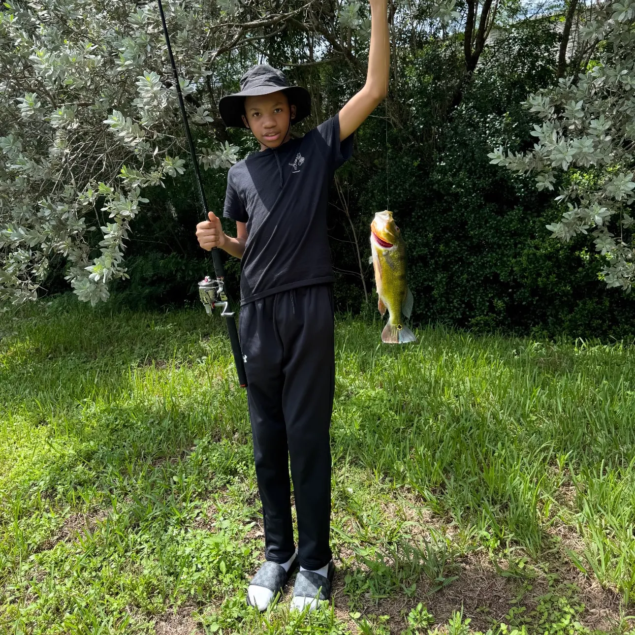 Butterfly peacock bass caught on Fishbrain