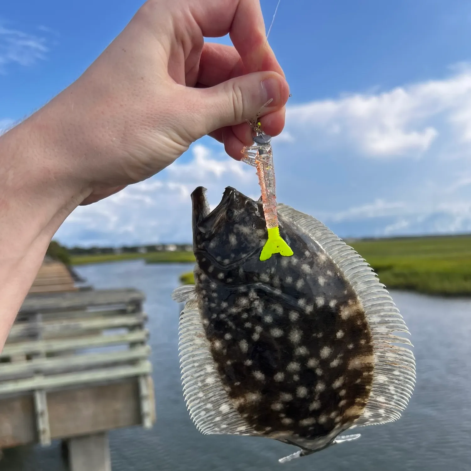 Summer flounder caught on Fishbrain