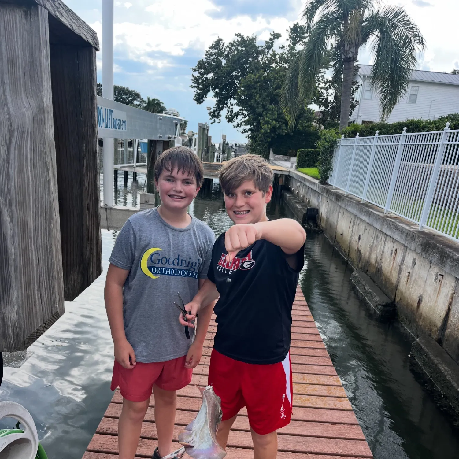 The most recent Bluntnose stingray catches on Fishbrain