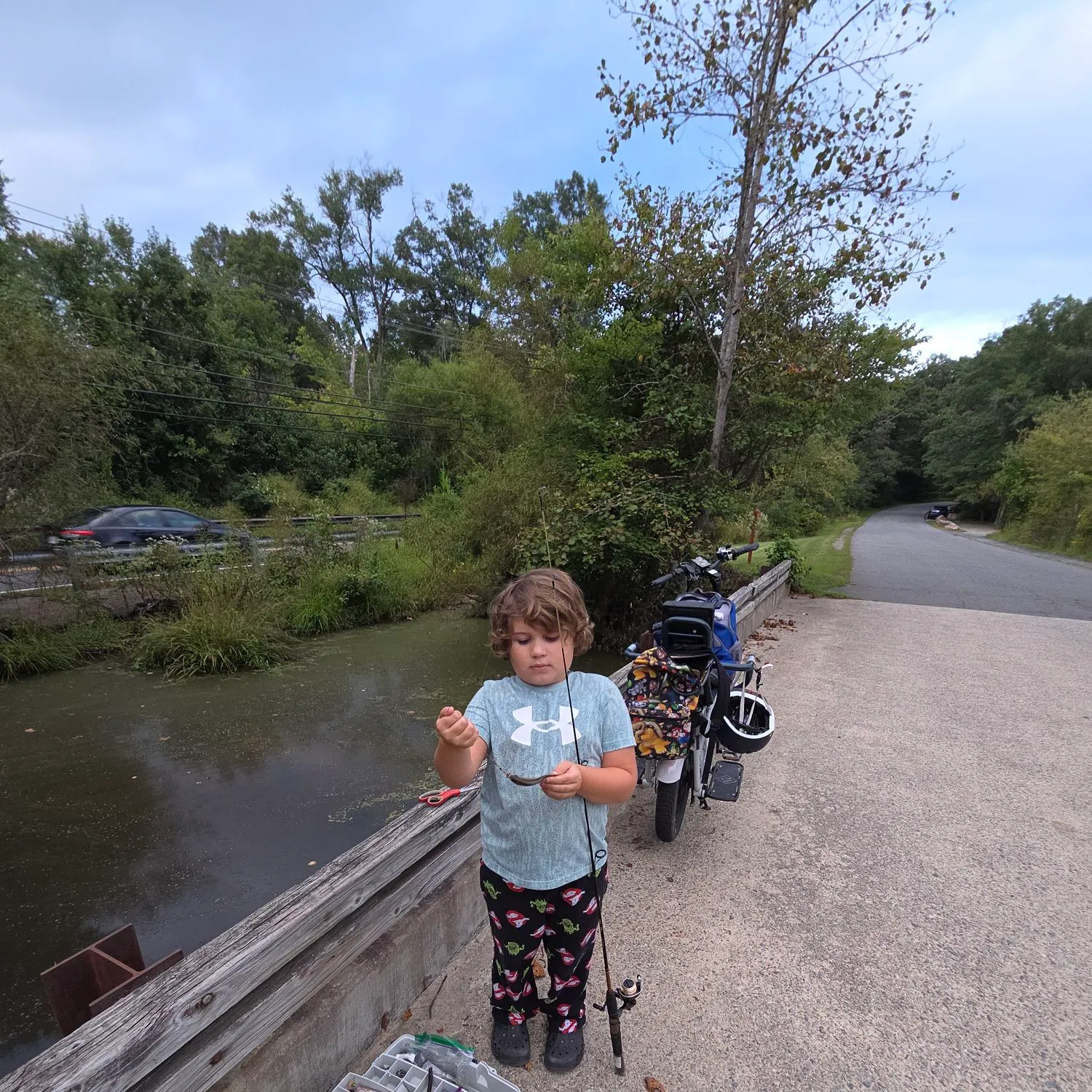 Bluegill caught on Fishbrain
