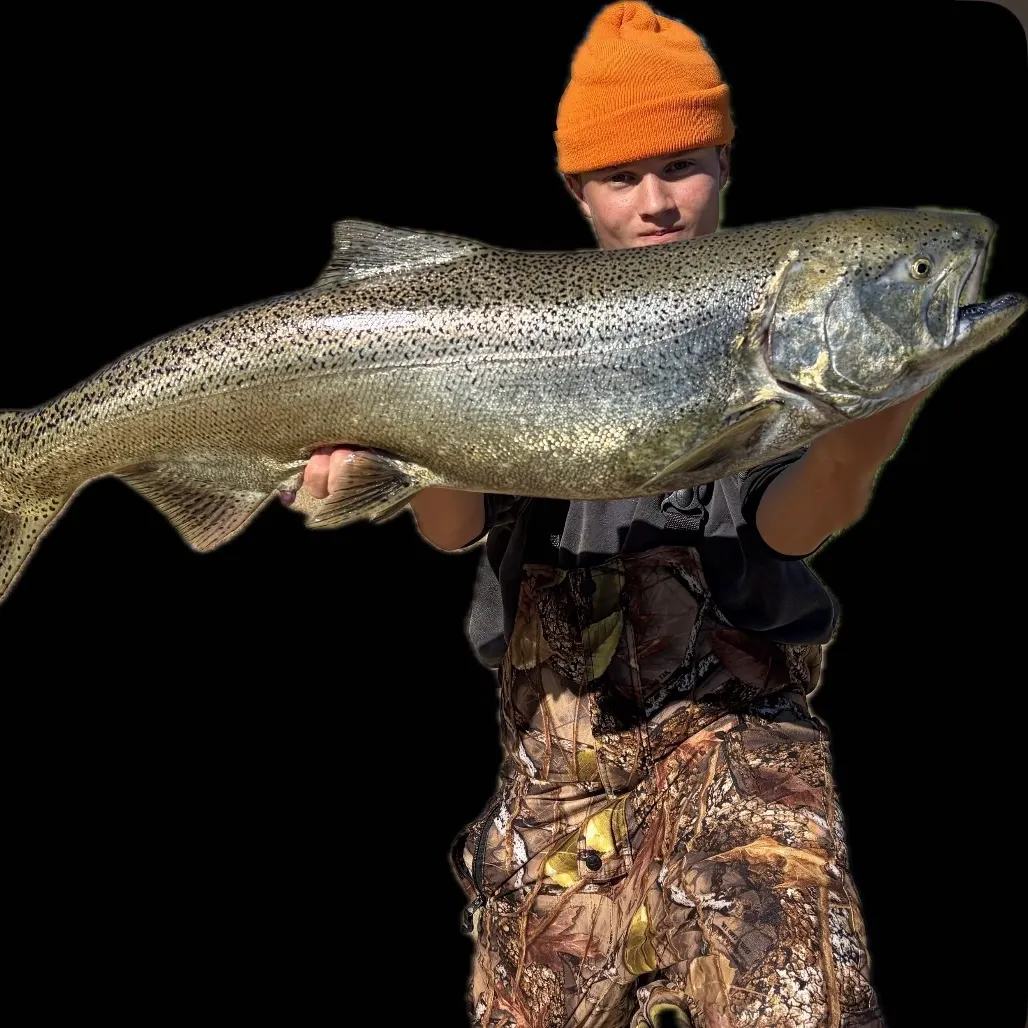 Chinook salmon caught on Fishbrain